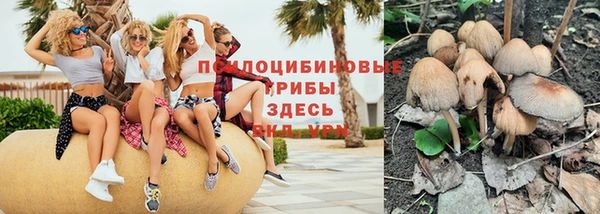 таблы Абинск