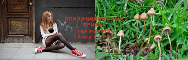 таблы Абинск