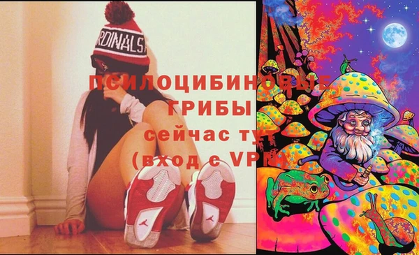 марихуана Абаза