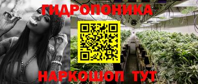 бошки Новокубанск