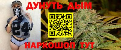 гидропоника Новозыбков