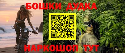 Альфа ПВП Новодвинск