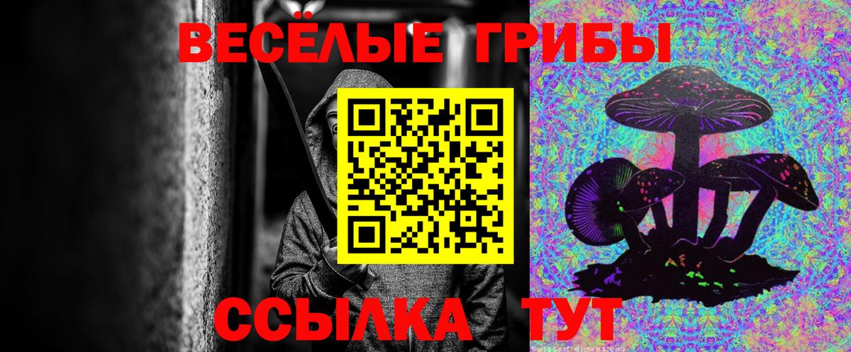 Галлюциногенные грибы GOLDEN TEACHER Алапаевск