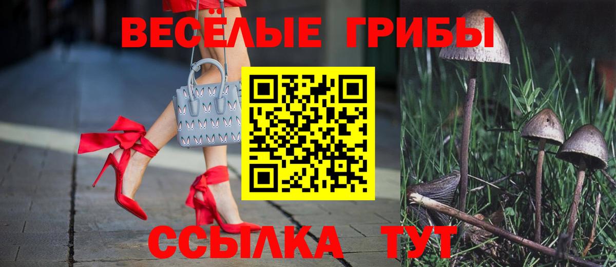 Галлюциногенные грибы Psilocybine cubensis  Вход с VPN  Алапаевск  купить   Галлюциногенные грибы Cubensis 